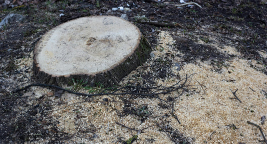 Stump Grinding