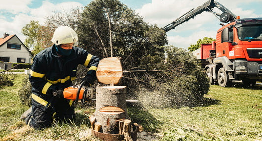 Emergency Tree Services